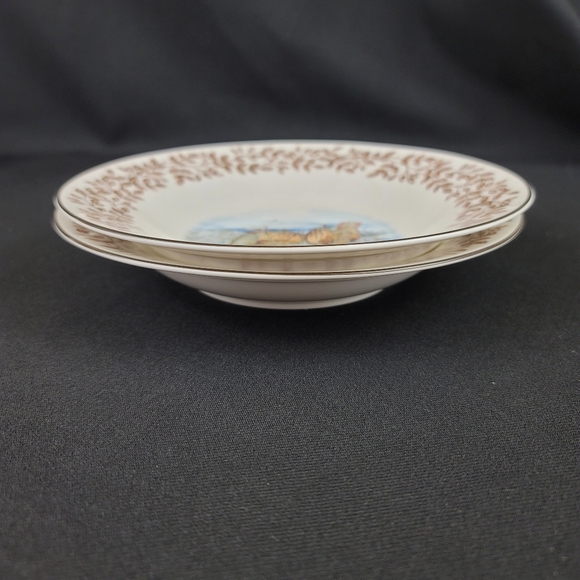 (2) WILD BIRDS Porcelain Soup Bowls - Picture 11 of 12